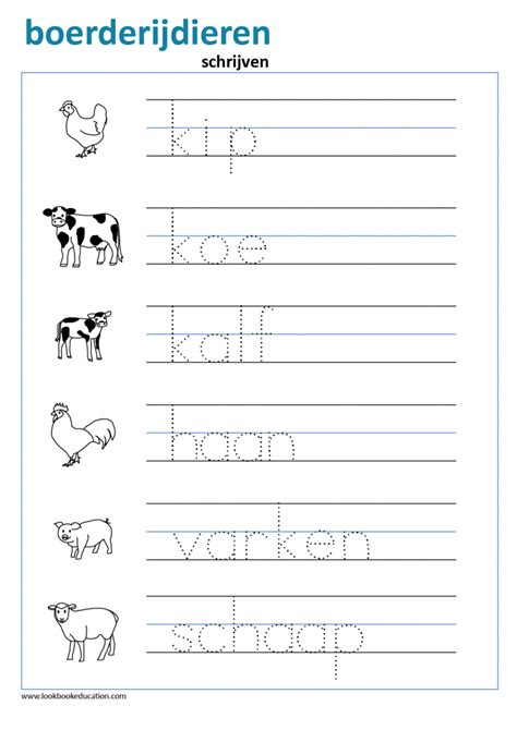 nederlands leren schrijven oefeningen